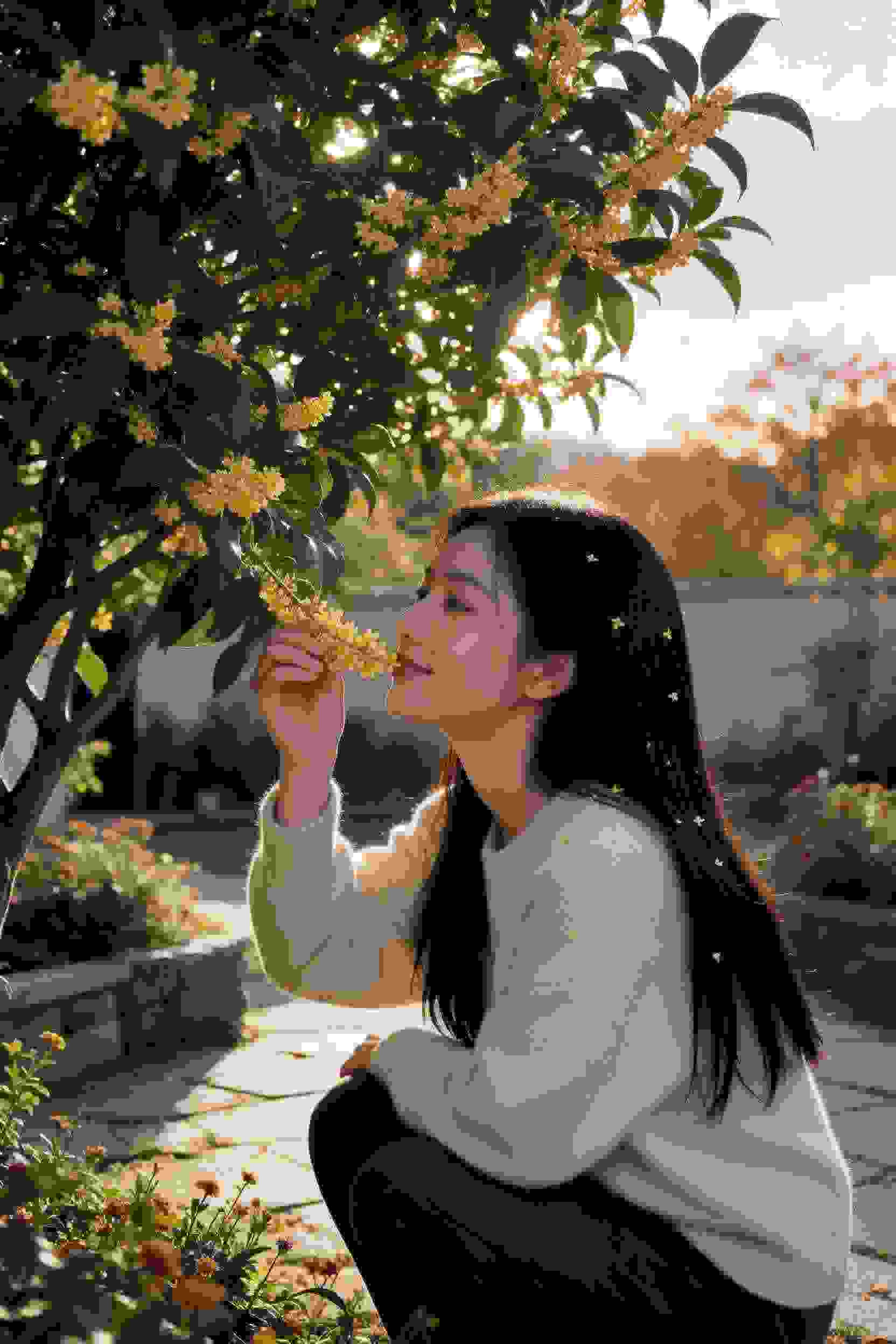 战斗精灵